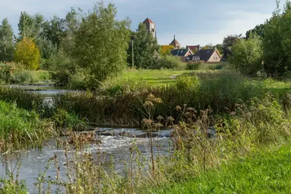 wandeling-eric-sesseink